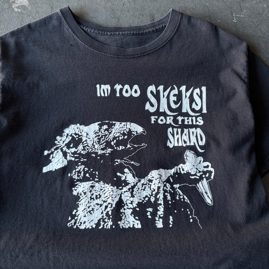 Vintage 2000's skeksi tee medium